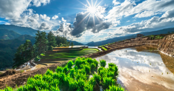 美图M6手机信号稳定性测试及评测